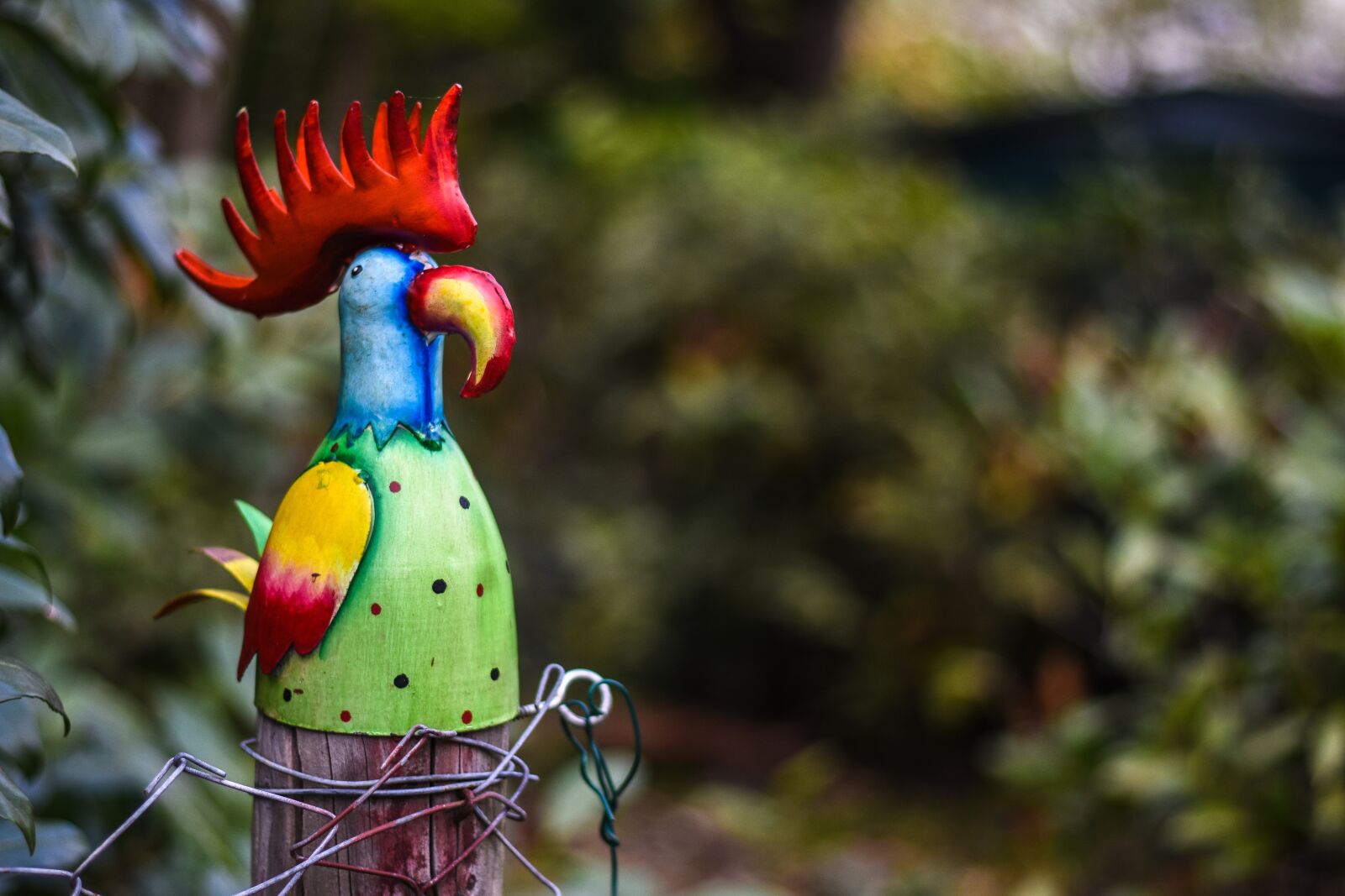 Nikon D7200 sample photo. Garden decoration, decoration, garden photography