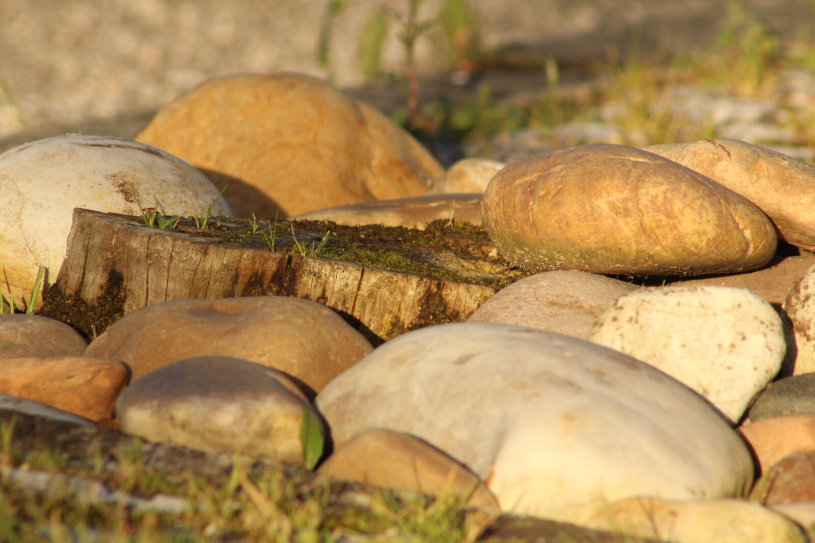 Canon EF 75-300mm f/4-5.6 sample photo. Desflorestacao, pedra, pedras, tronco photography