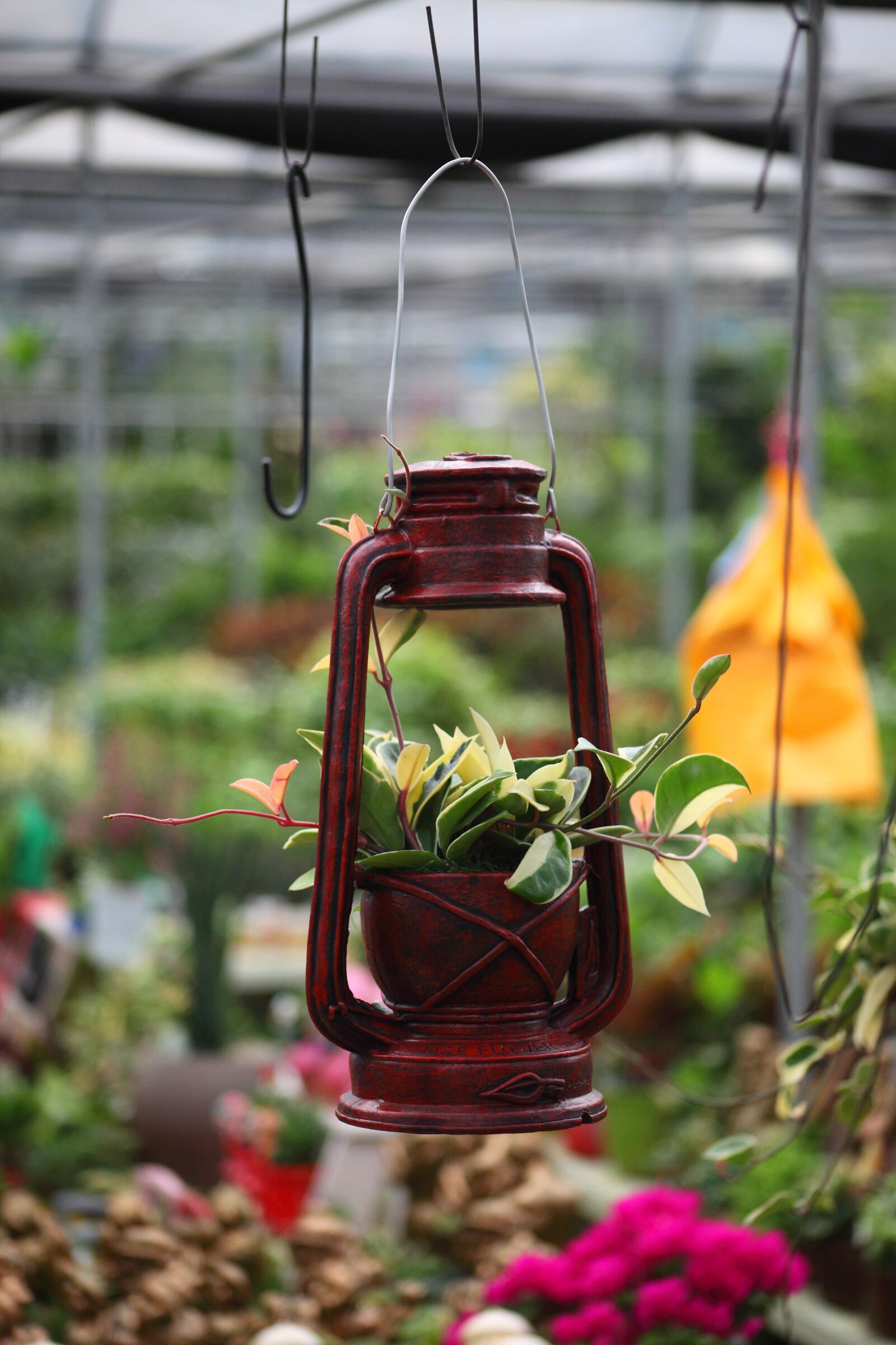Canon EOS 5D Mark II sample photo. Flowers, plants, flower market photography