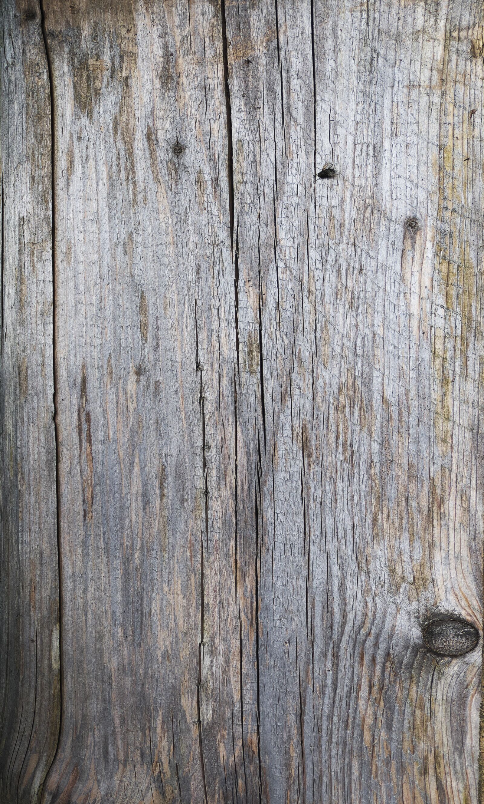 Panasonic Lumix DMC-FZ1000 sample photo. Woods, board, wooden board photography