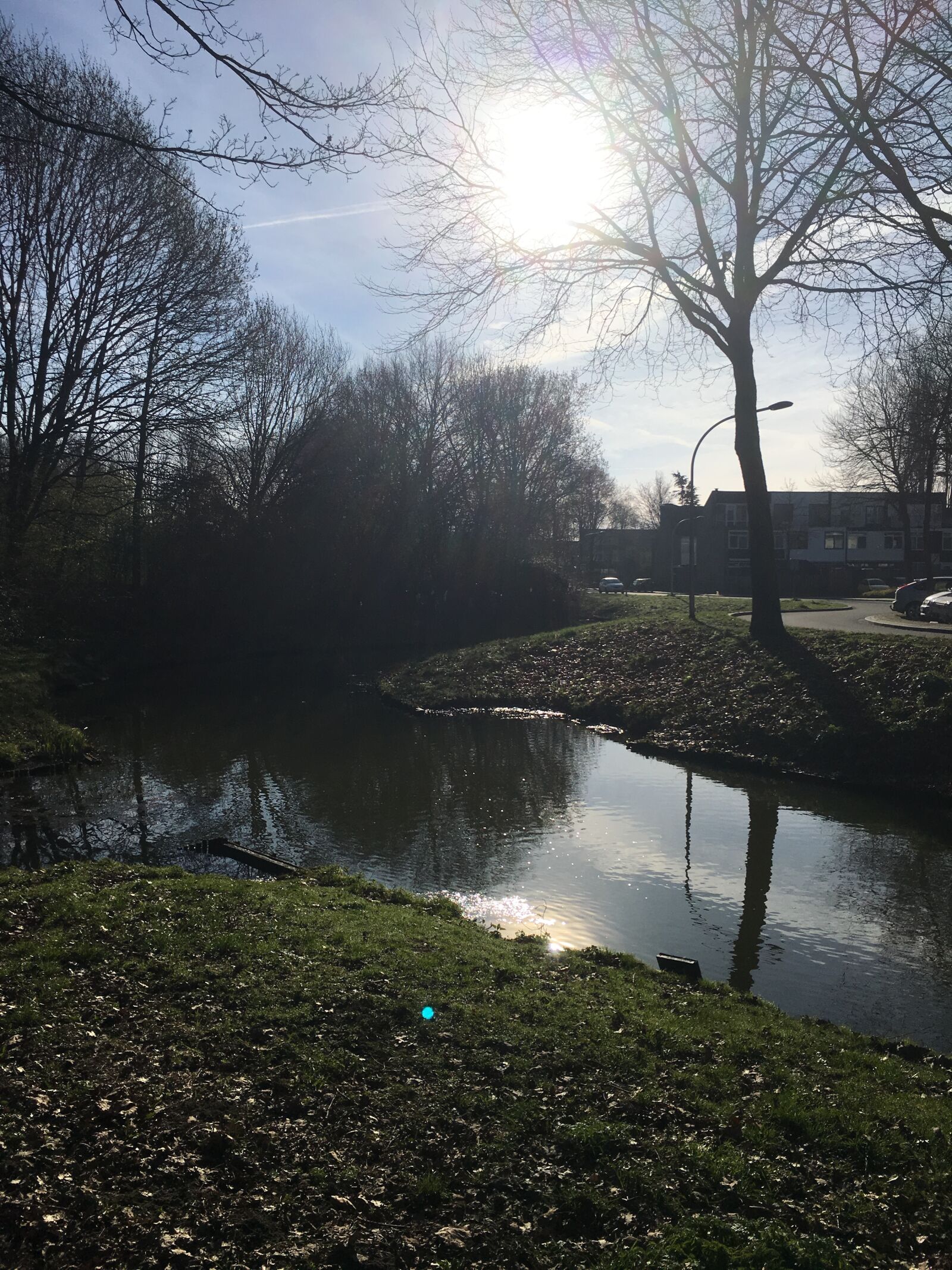 iPhone 6s Plus back camera 4.15mm f/2.2 sample photo. Winter, moat, park photography