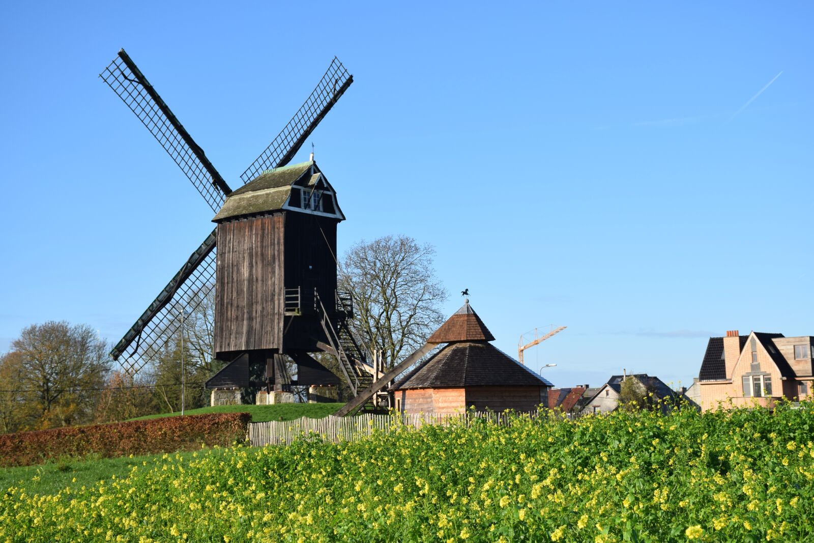 Nikon D5300 sample photo. Nature, windmills, herzele photography