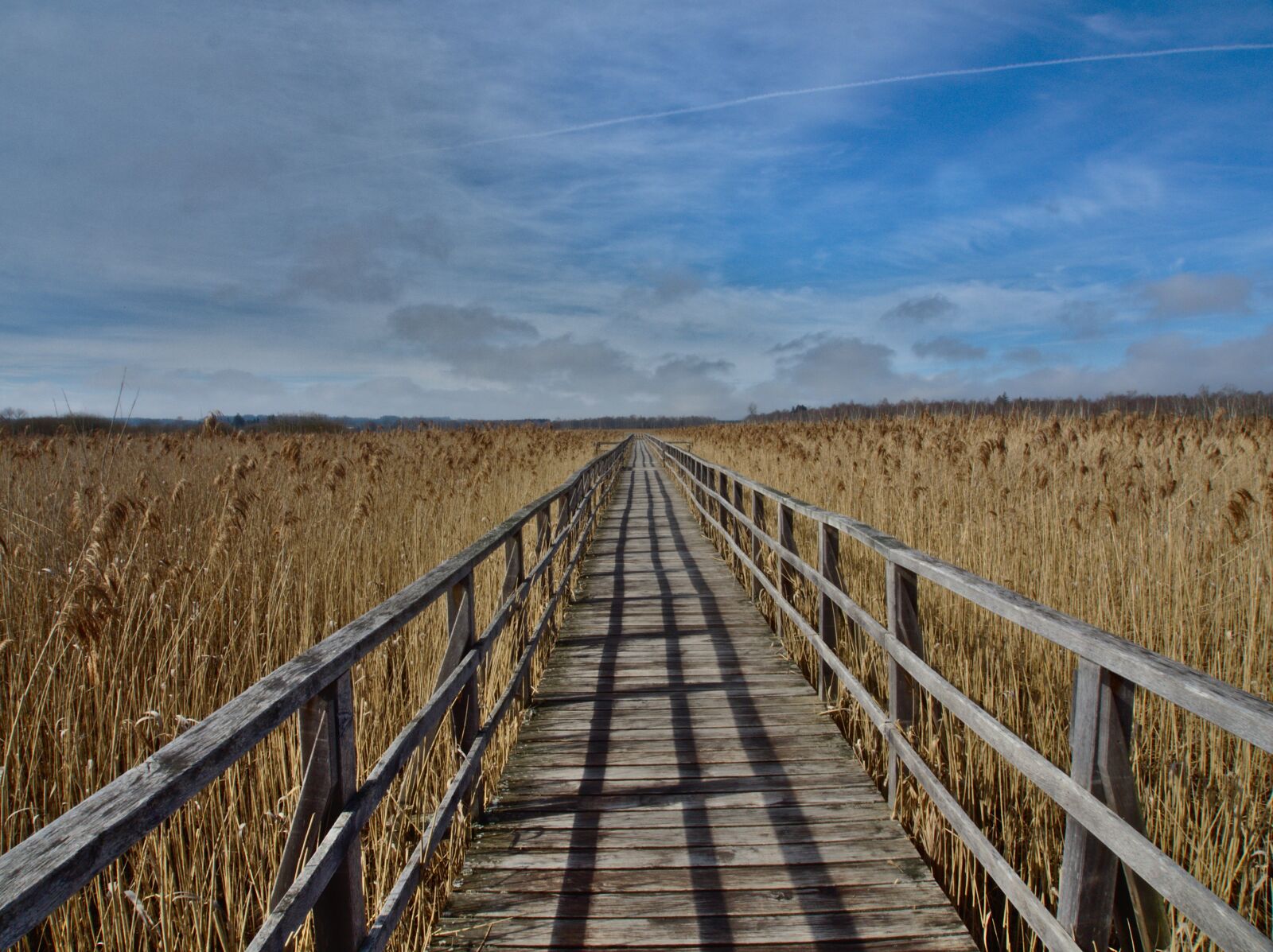 Olympus OM-D E-M5 II sample photo. Landscape, sky, lake photography