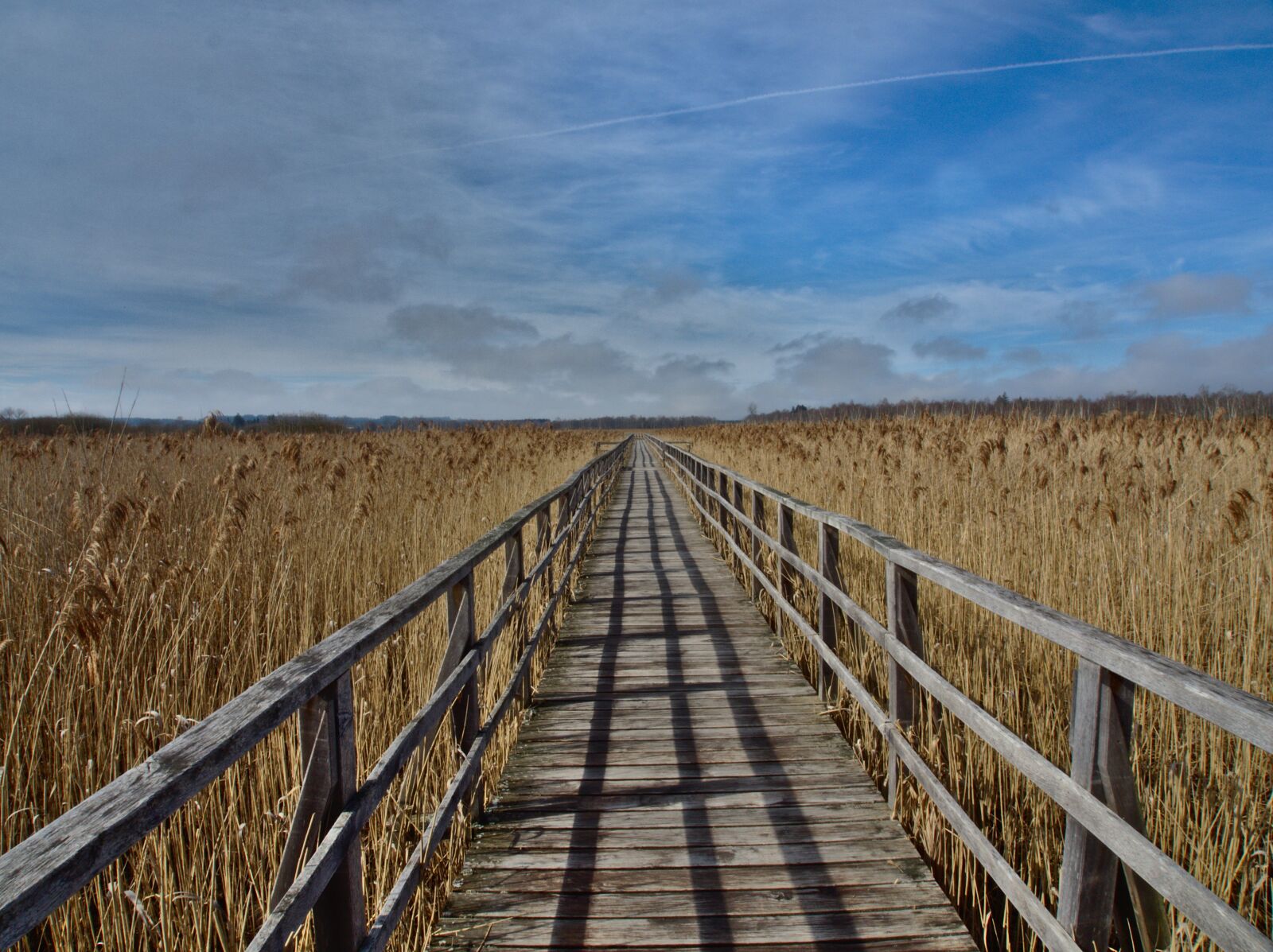 Olympus OM-D E-M5 II + OLYMPUS M.12-50mm F3.5-6.3 sample photo. Landscape, sky, lake photography