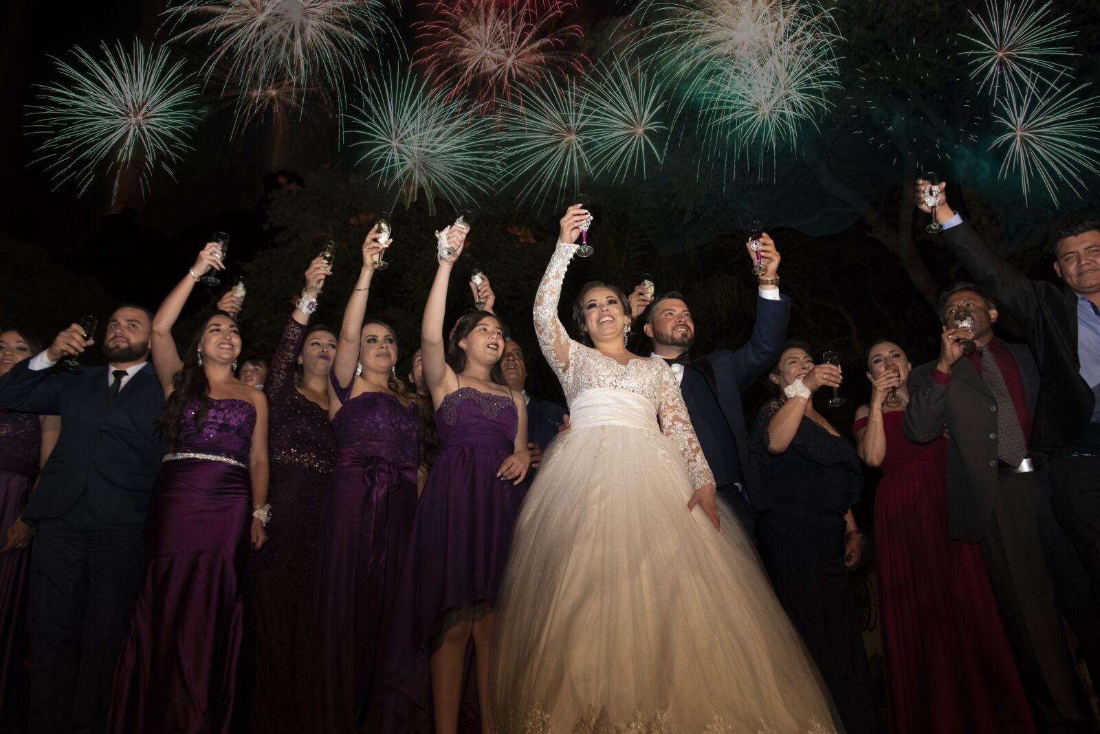 Nikon D750 sample photo. Celebration, toast, wedding photography