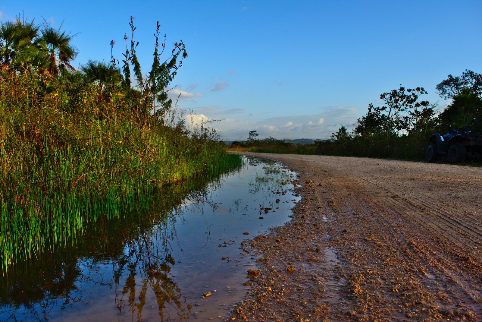 Nikon D7200 sample photo. Puddle of water, nature photography