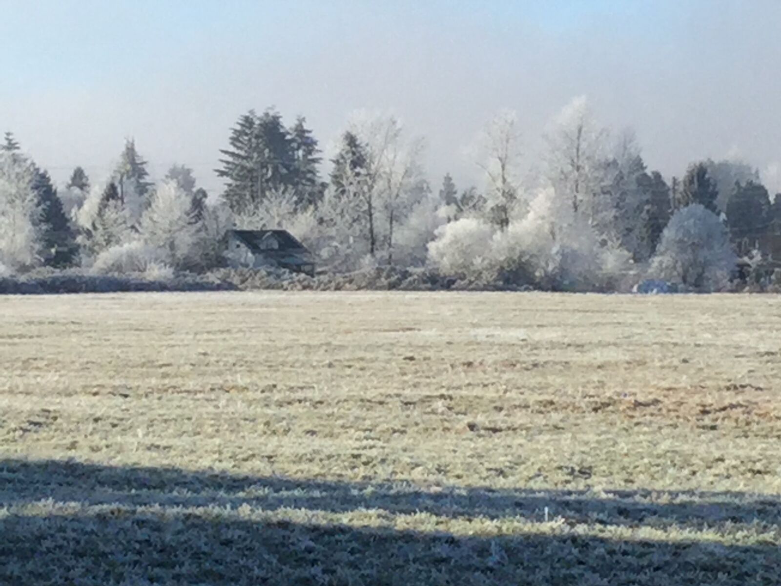 Apple iPad Air 2 sample photo. Cold, morning photography