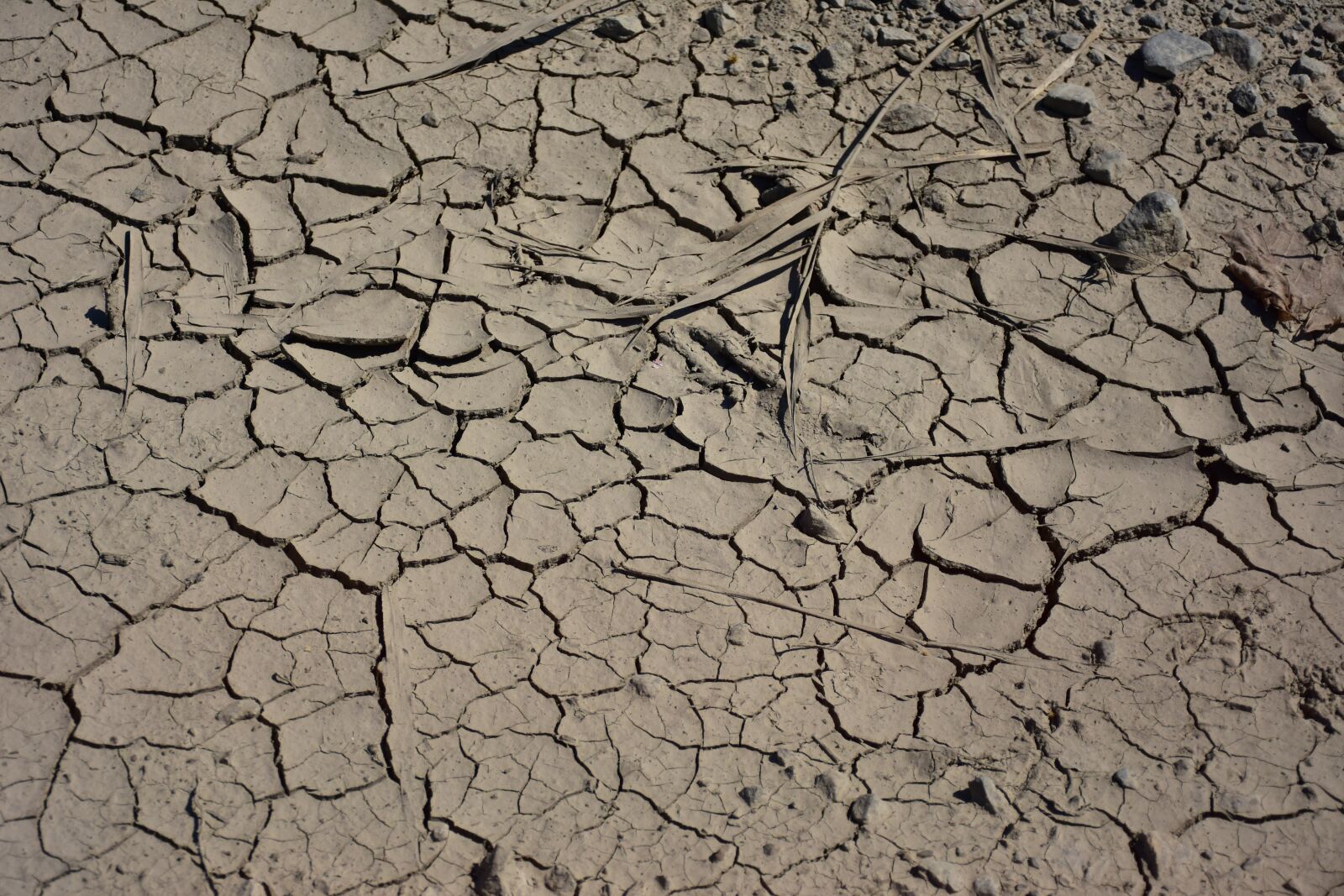 Nikon D7200 sample photo. Texture, cracked, ground photography