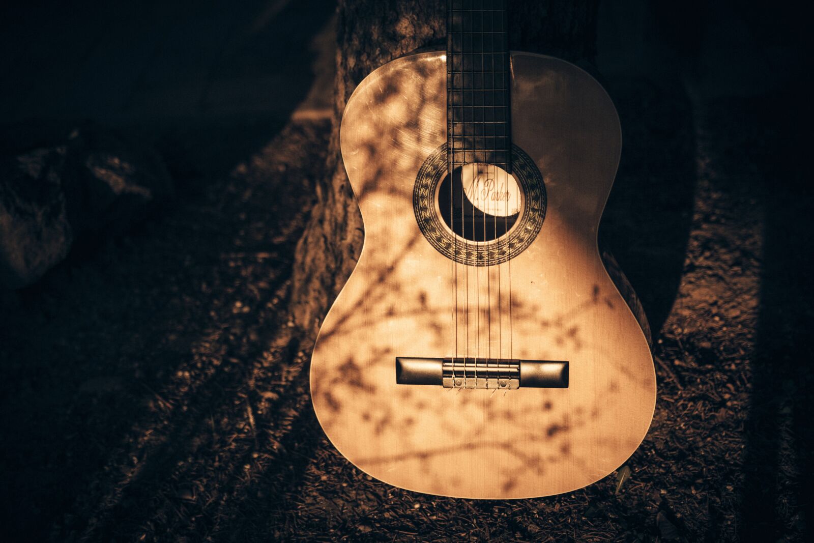 Nikon D7100 sample photo. Guitar, instrument, shadows photography