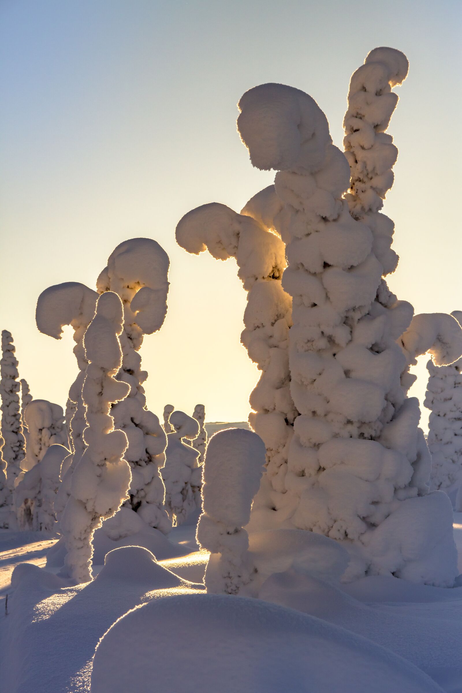 Canon EOS 7D sample photo. Lapland, winter, snow photography