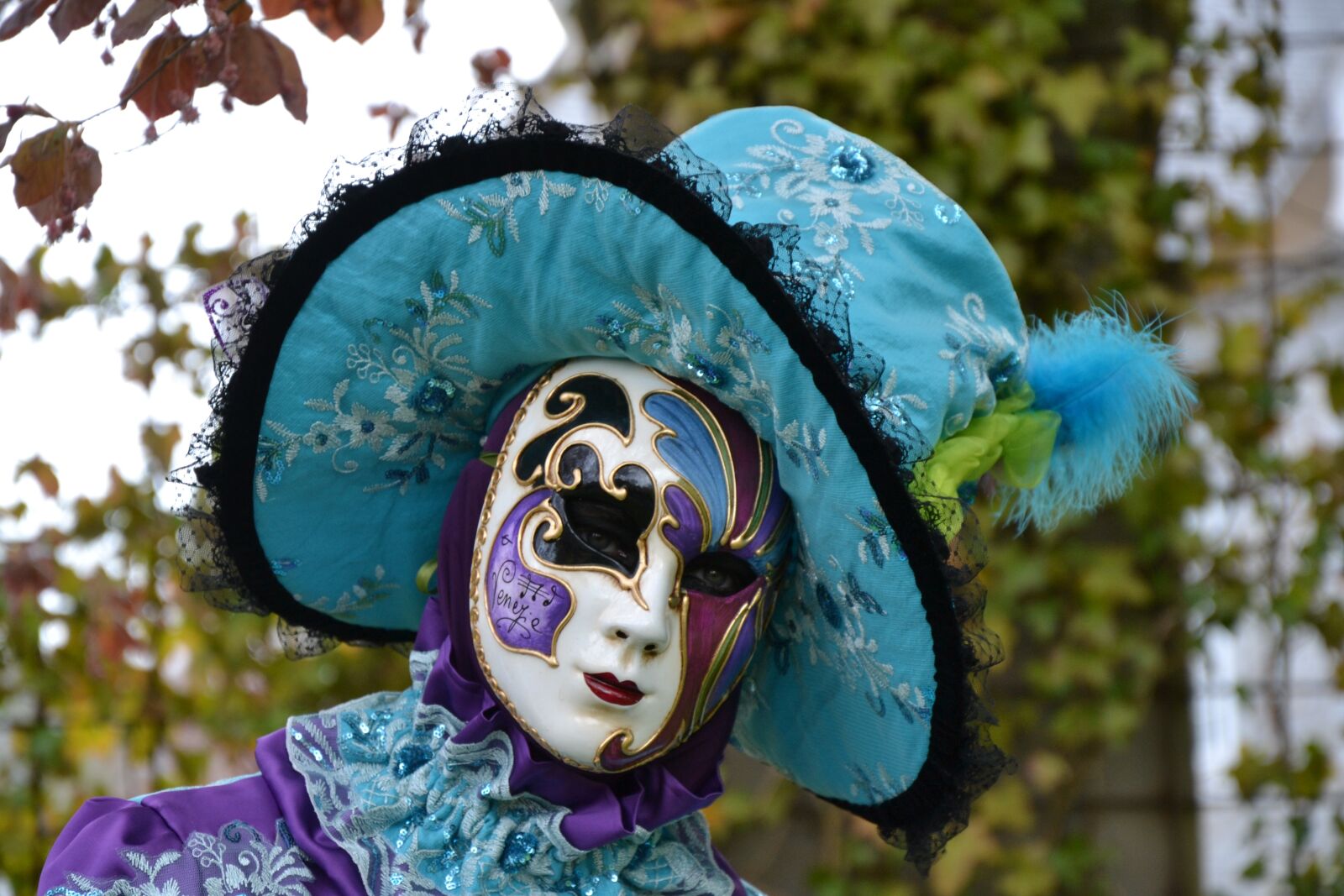 Nikon D3100 sample photo. Mask, carnival, venice photography