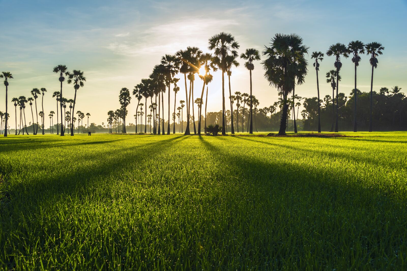 Nikon D750 sample photo. Landscape, travel, sunset photography
