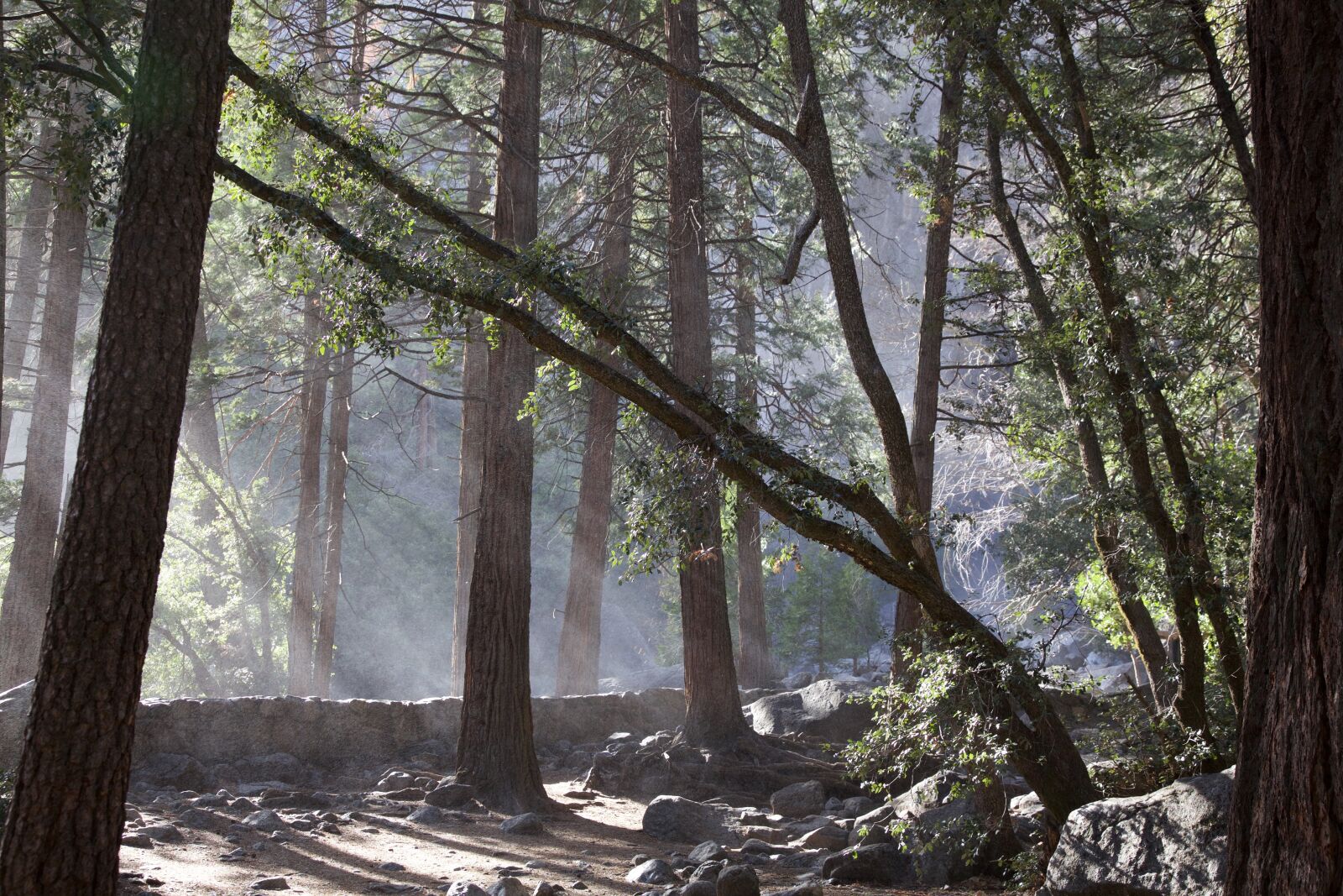 Canon EOS 5D Mark II sample photo. Yosemite, falls, park photography