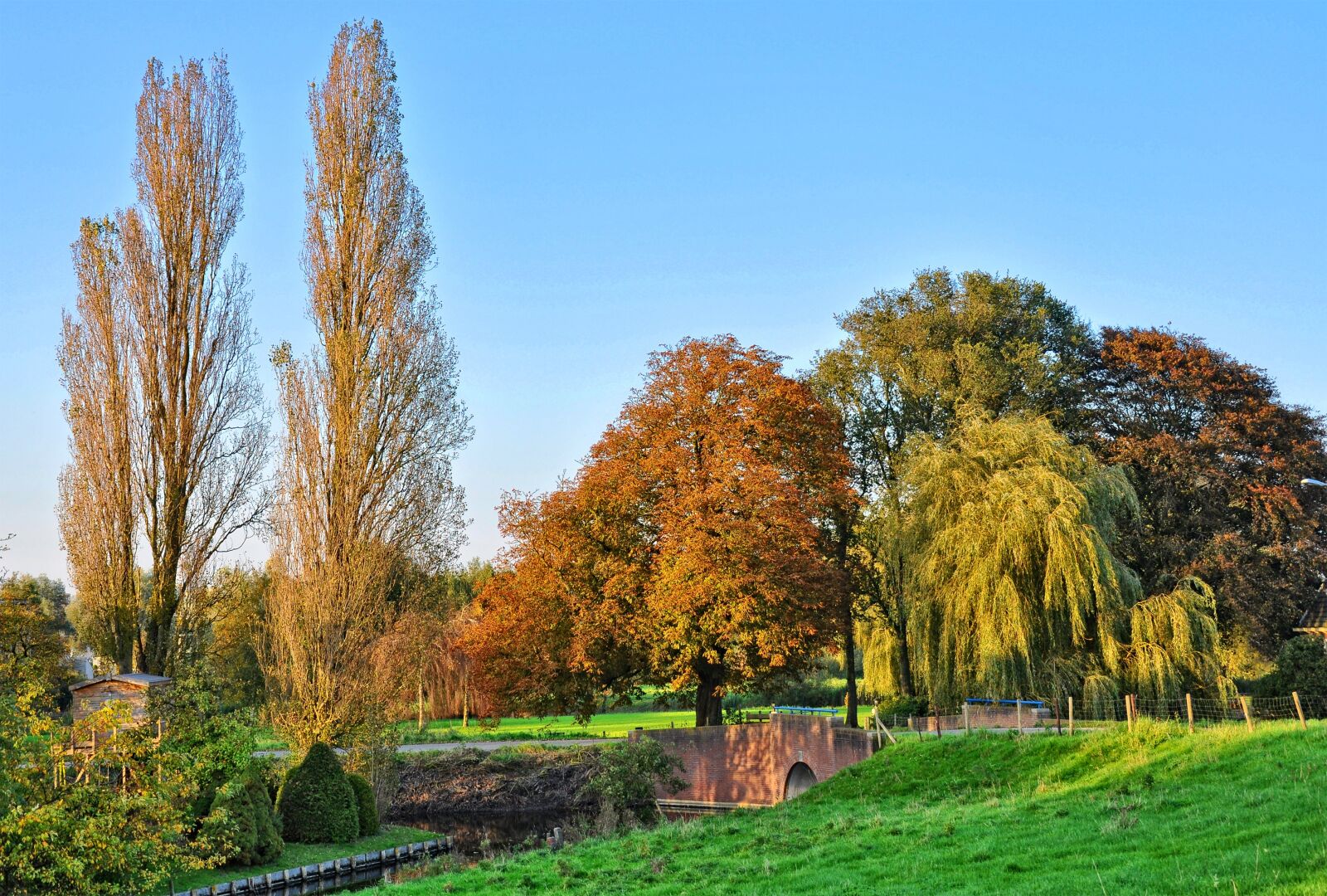 Nikon D90 sample photo. Trees, grass, landscape photography