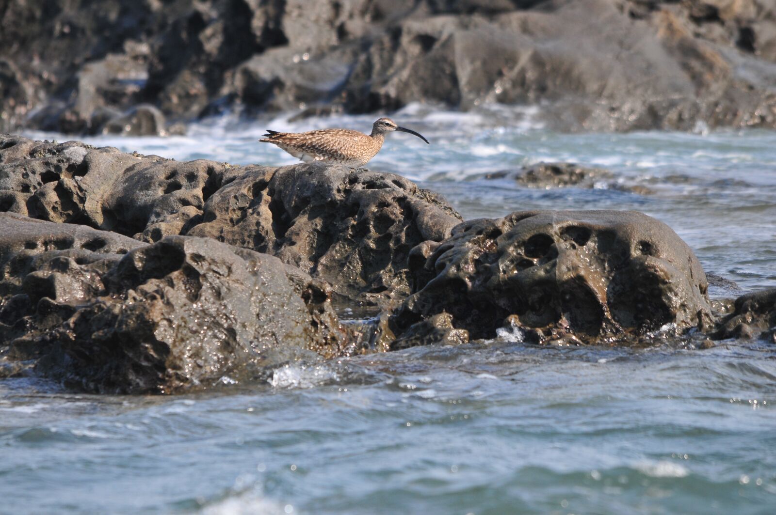 Nikon D300 sample photo. Waters, natural, sea photography