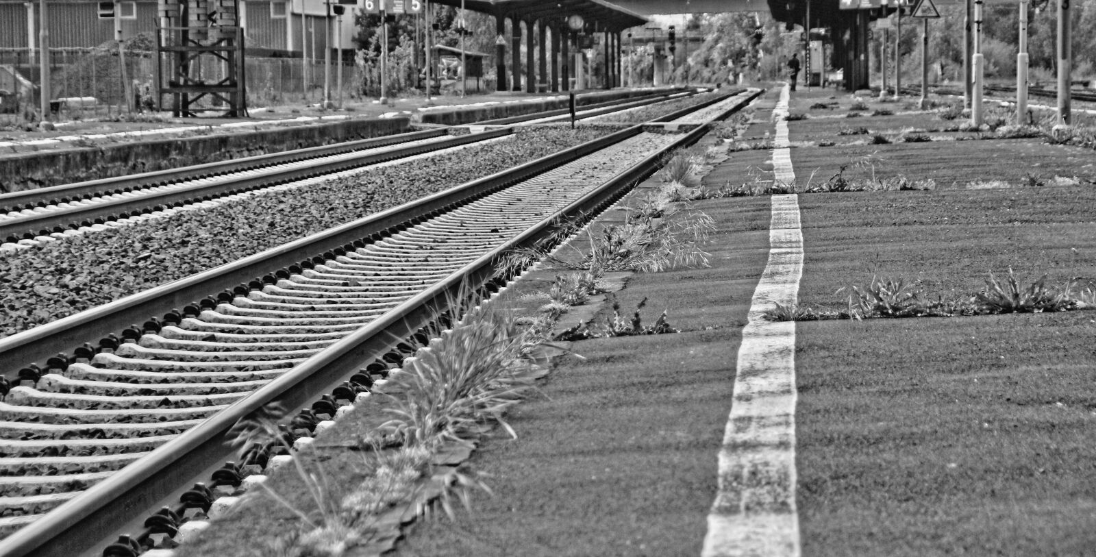 Canon EOS 550D (EOS Rebel T2i / EOS Kiss X4) sample photo. Black and white photography photography