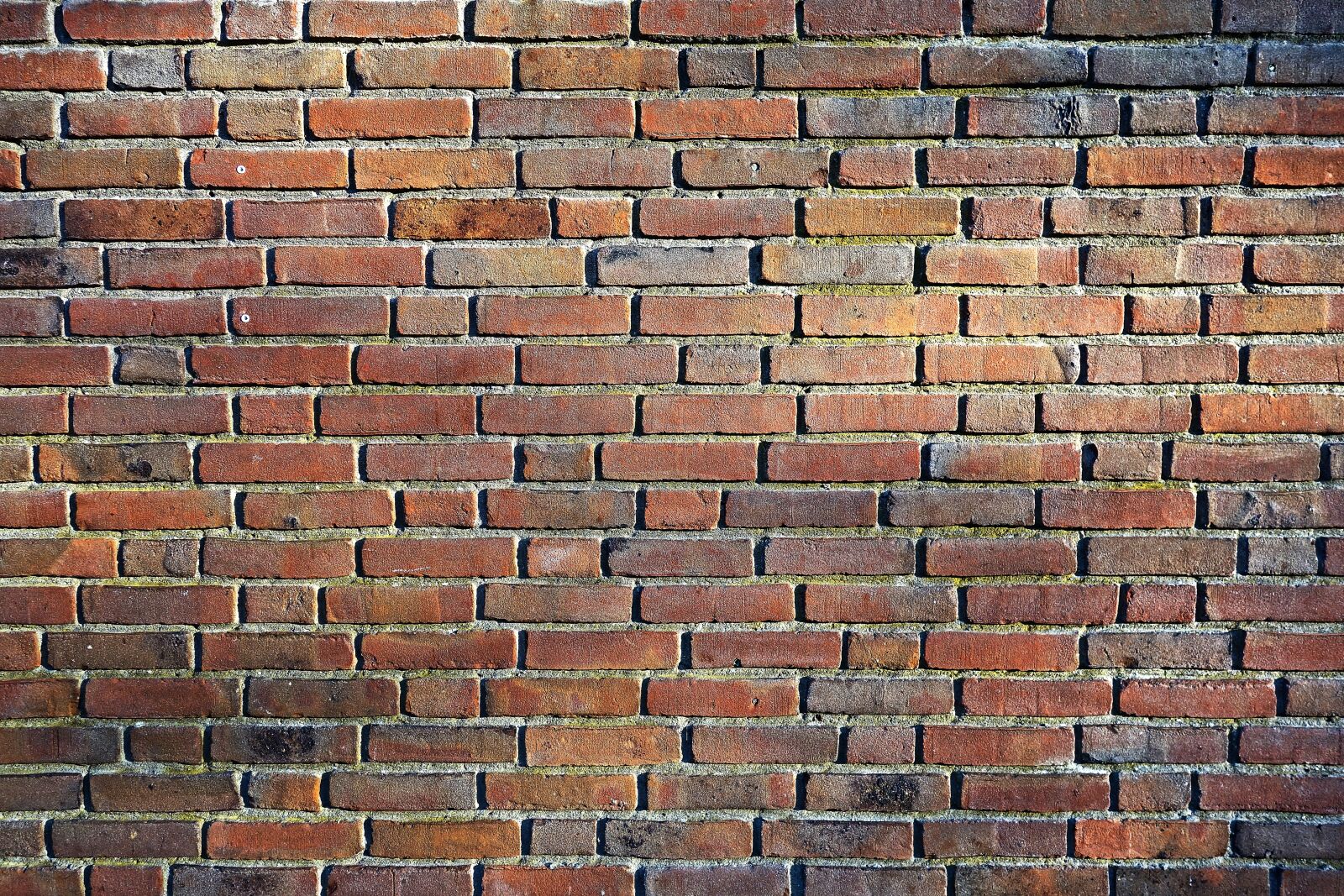 Sony Cyber-shot DSC-RX100 sample photo. Brick wall, wall, masonry photography