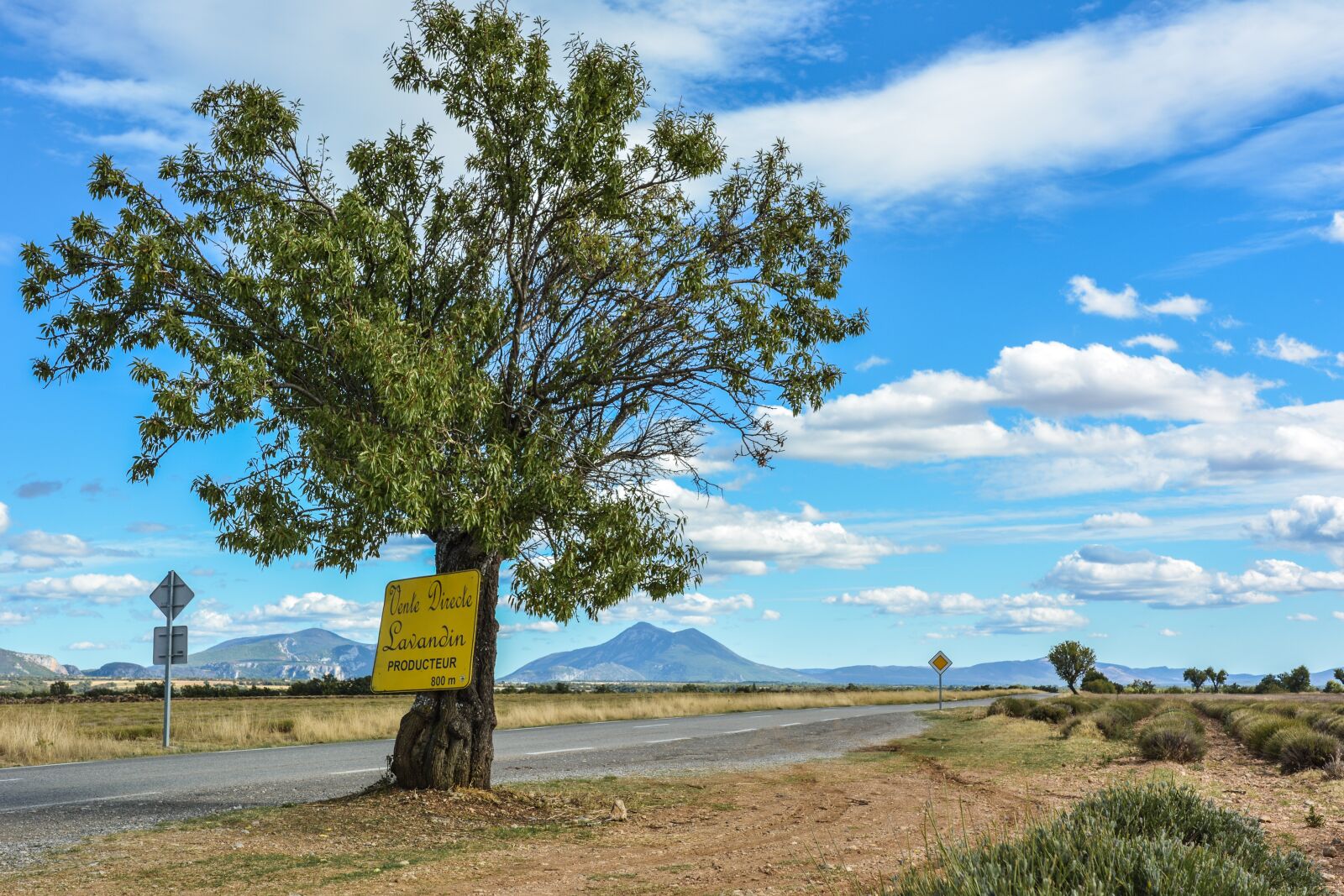 Nikon D5200 sample photo. France, provence, nature photography