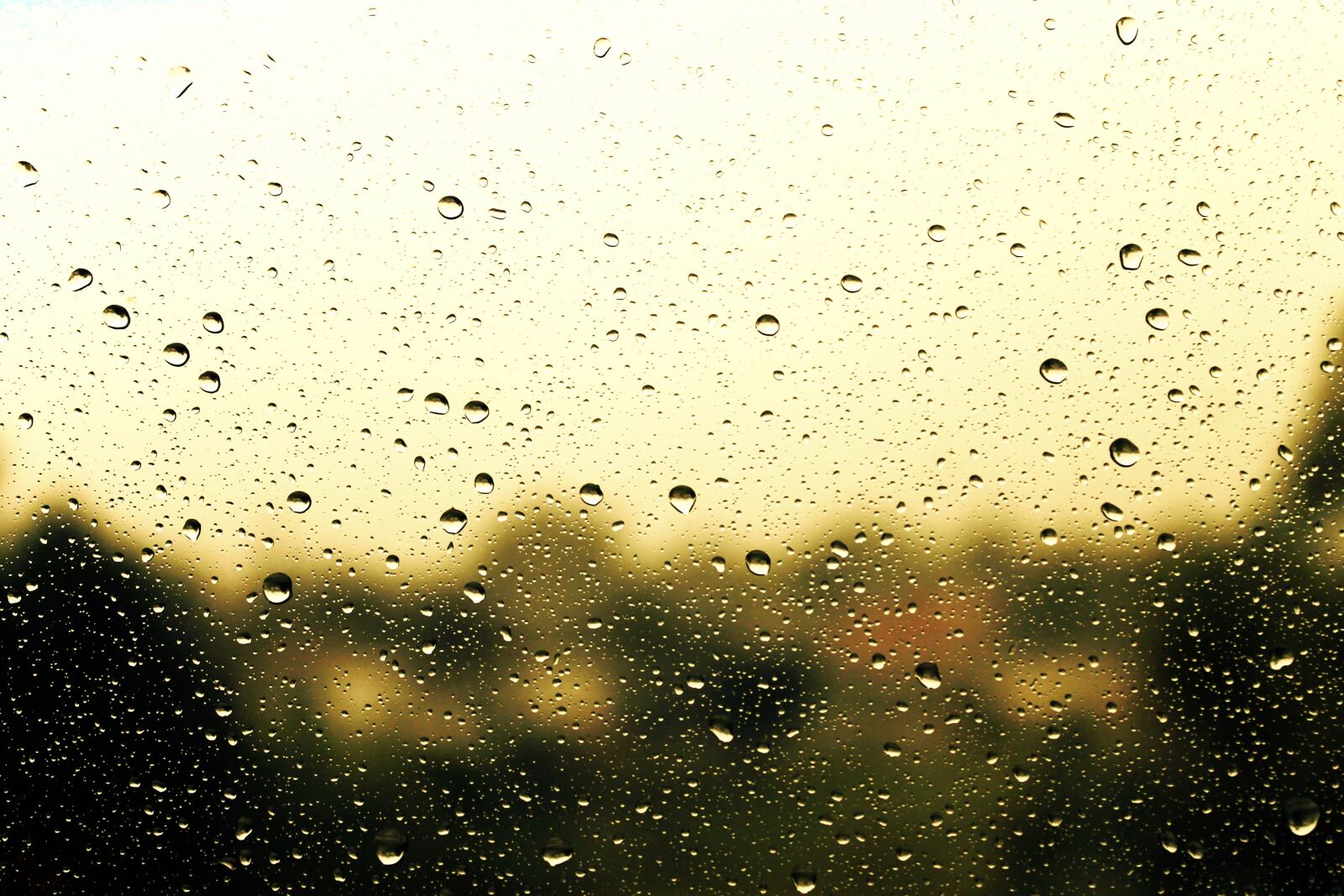Canon EOS 1100D (EOS Rebel T3 / EOS Kiss X50) sample photo. Rain, raindrop, water photography