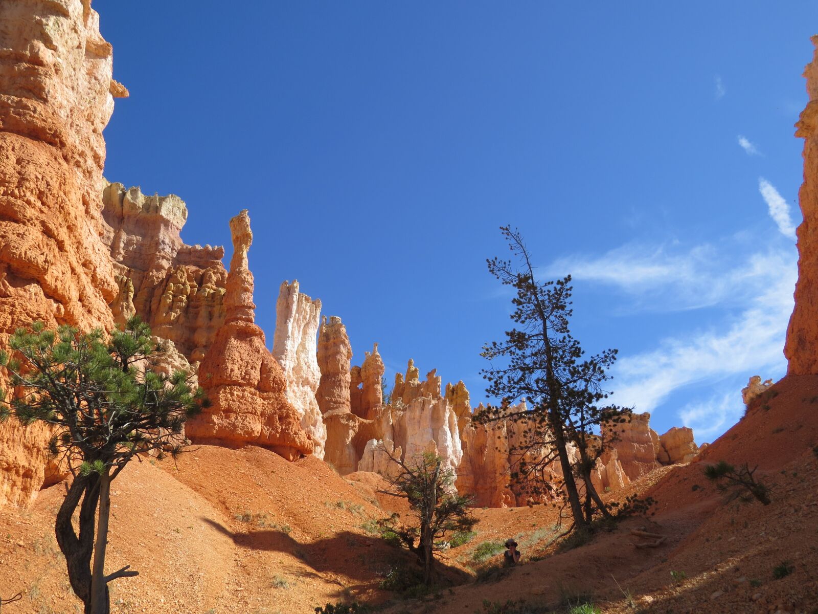 Canon PowerShot SX50 HS sample photo. Bryce canyon, utah, national photography