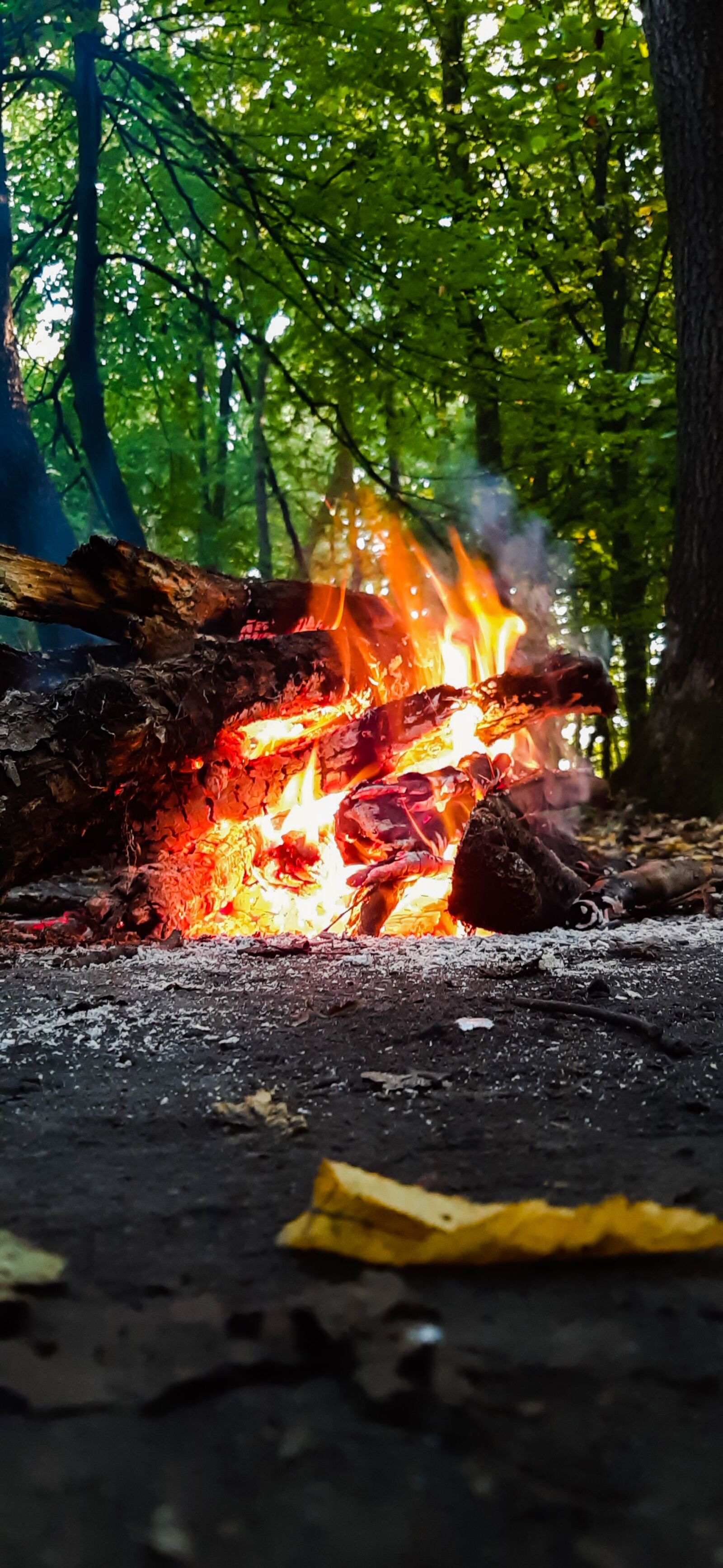Samsung Galaxy A50 sample photo. Fire, headband, nature photography
