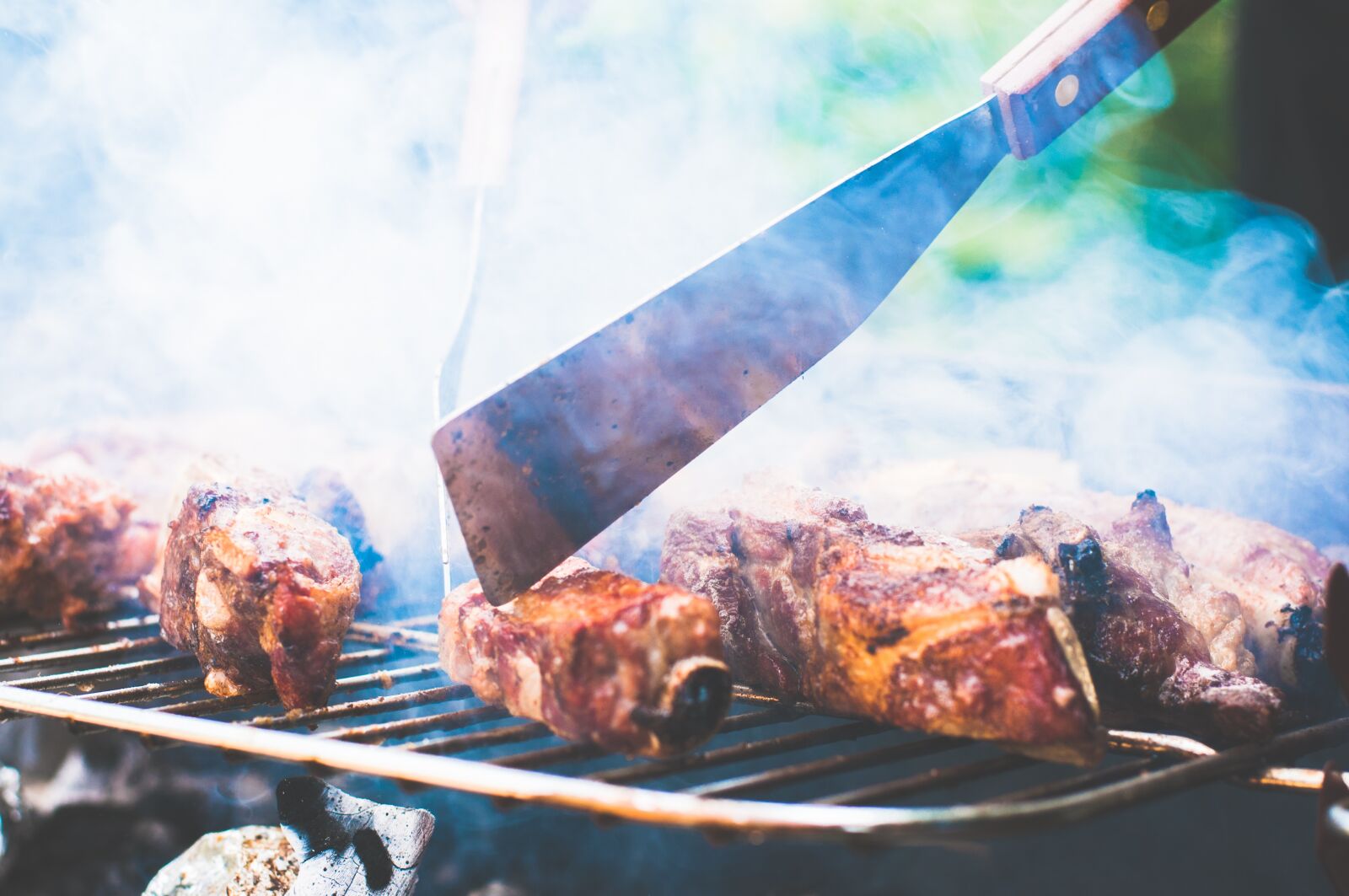 Nikon D300S sample photo. Barbecue, cooking, grill photography