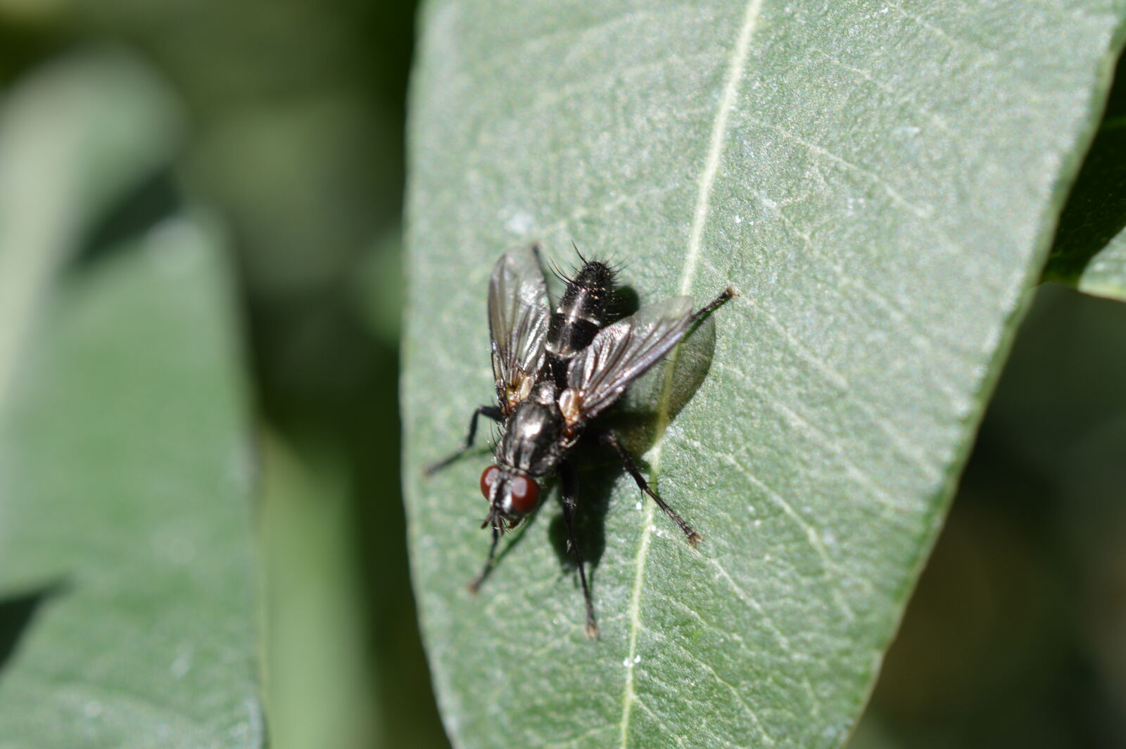 Nikon D3200 sample photo
