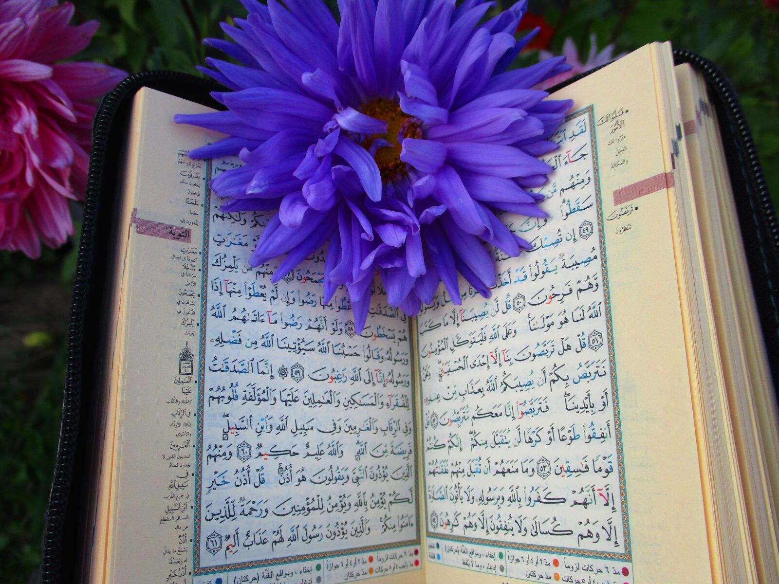 Canon IXUS 185 sample photo. Quran, shrine, scripture photography