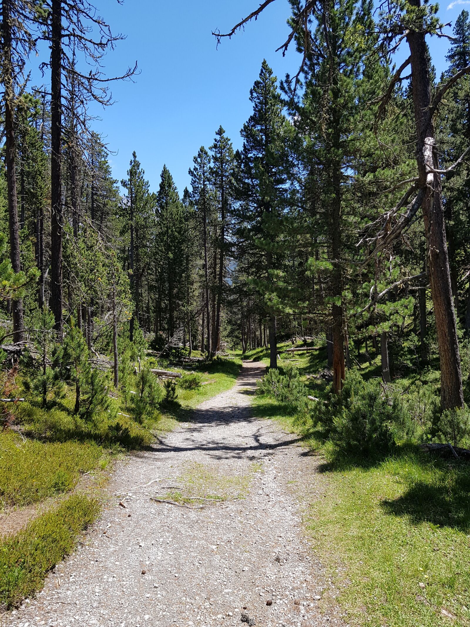 Samsung Galaxy S8 sample photo. Engadin, national park, tourism photography