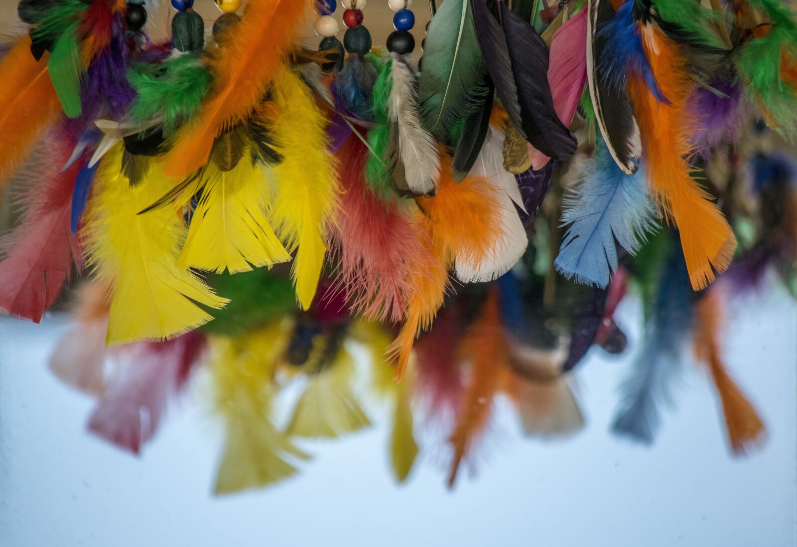 Nikon D5300 sample photo. Colors, colorful, color photography