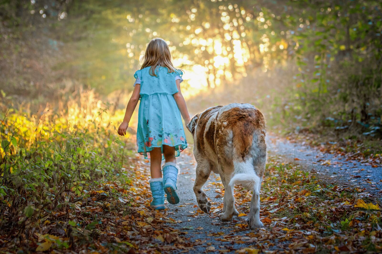 Tamron SP 70-200mm F2.8 Di VC USD sample photo. Child, dog, forest photography