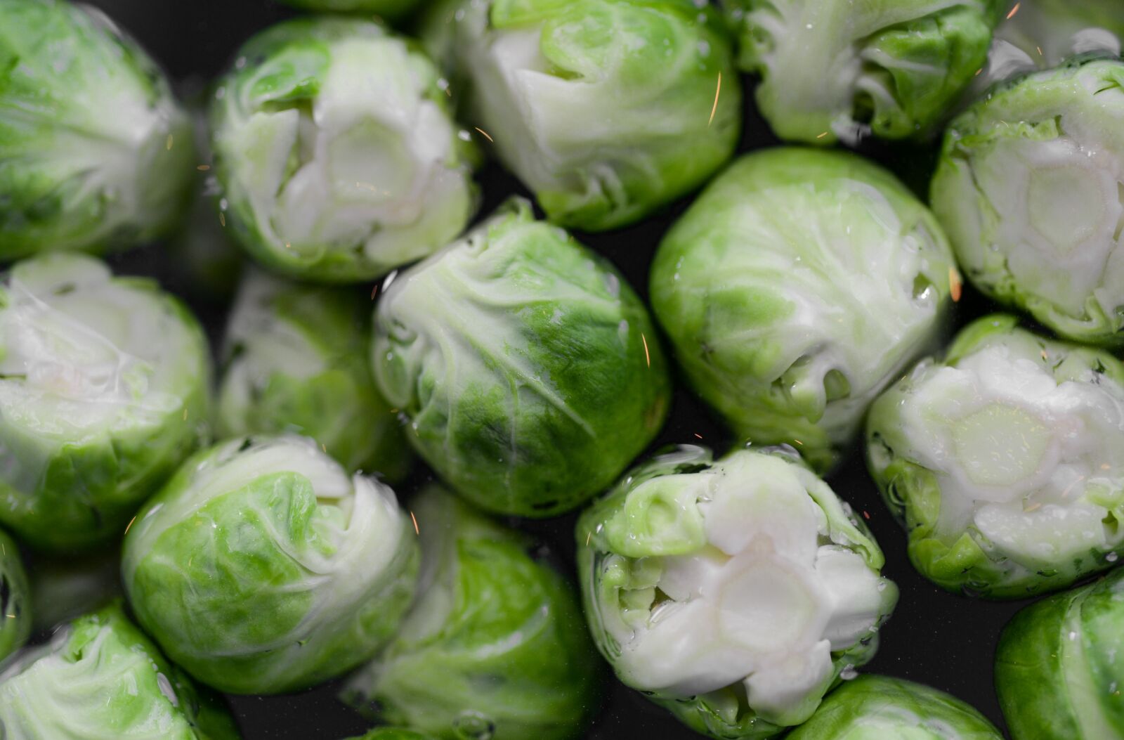 Nikon D610 sample photo. Sprouts, brussels, macro photography