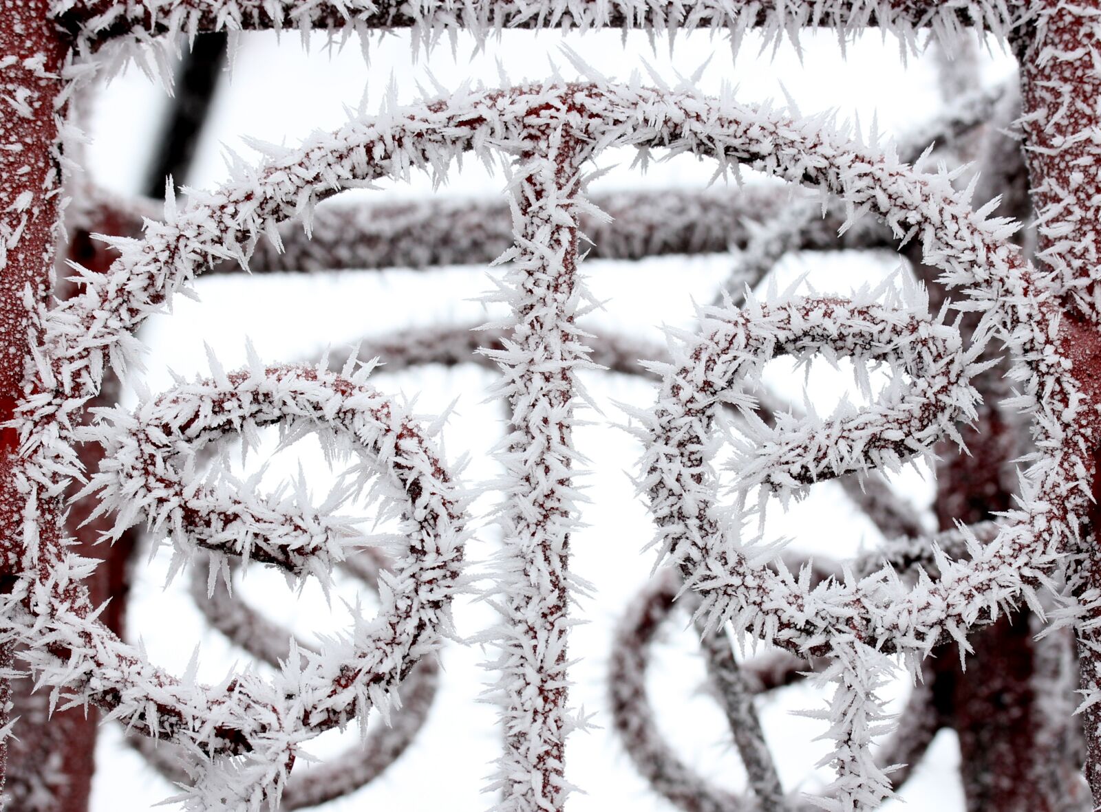 Canon EF-S 60mm F2.8 Macro USM sample photo. Fence, frozen, rime photography