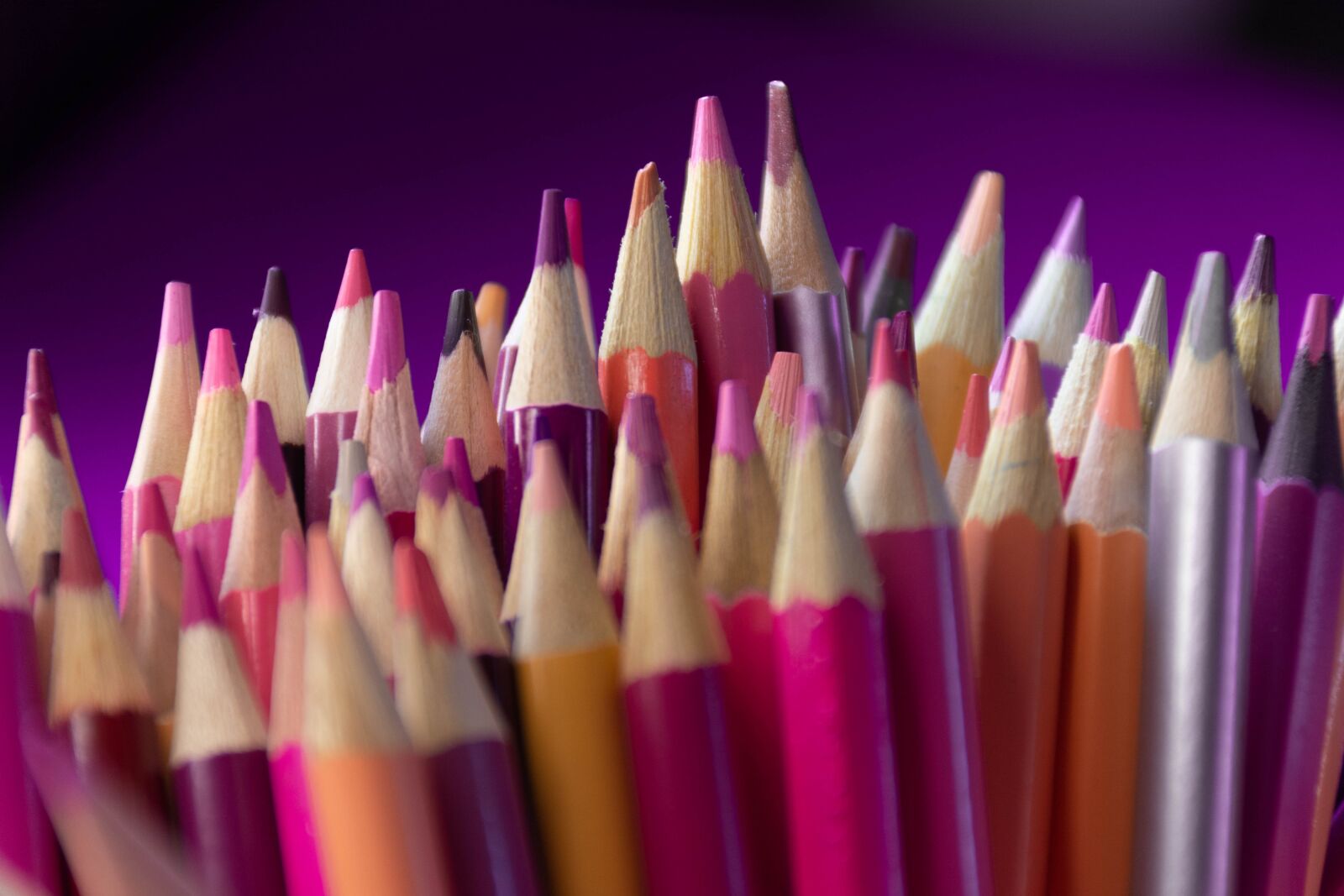 Nikon D7200 sample photo. Pencils, pink, purple photography