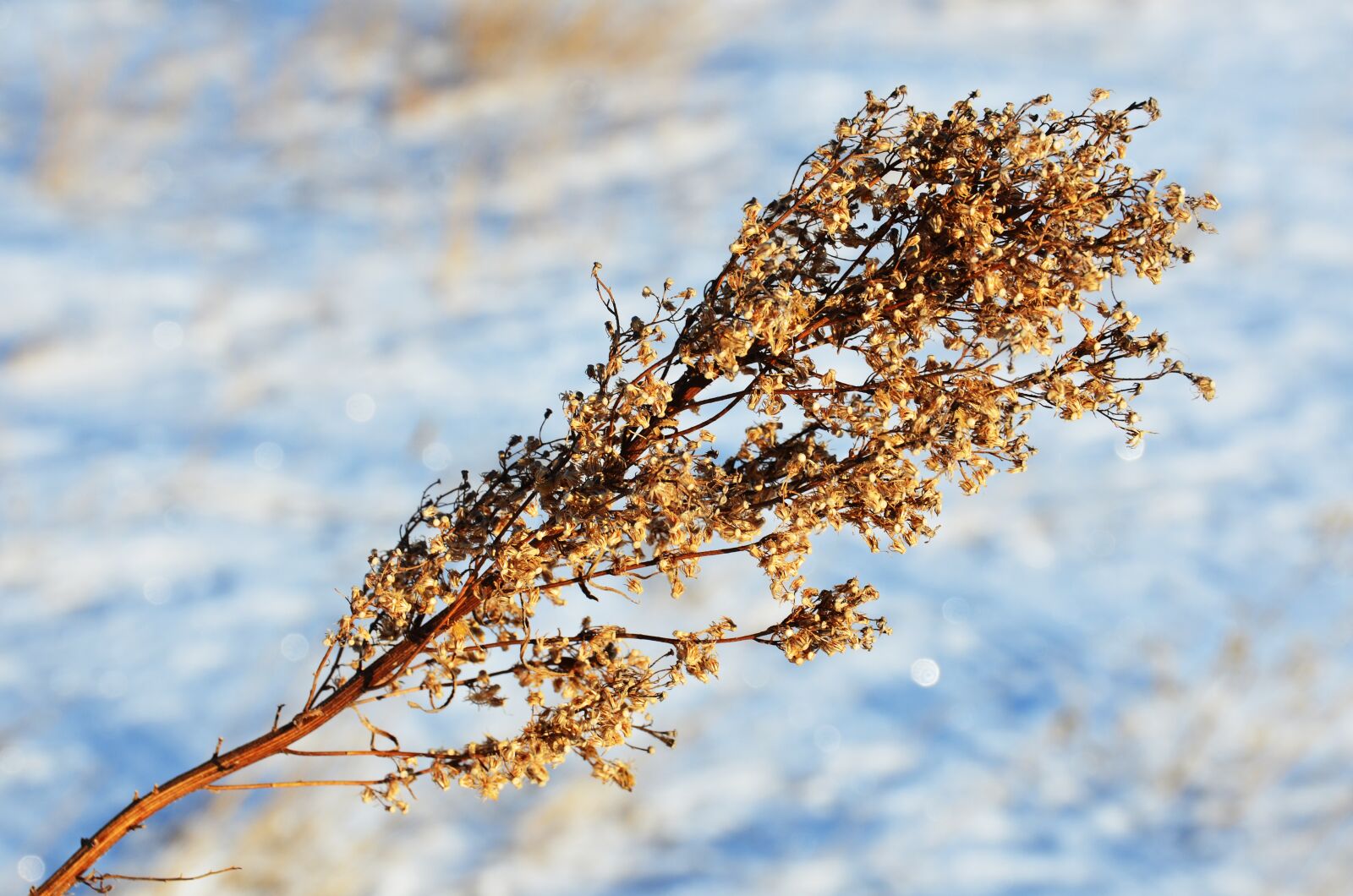 Nikon D7000 sample photo. Snow, winter, south dakota photography