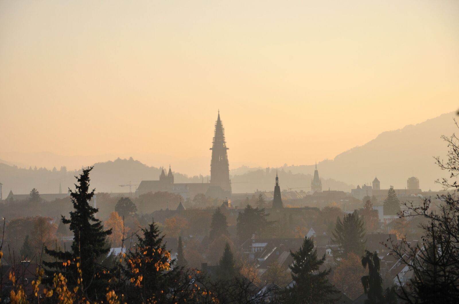Nikon D90 sample photo. Freiburg, panorama, münster photography