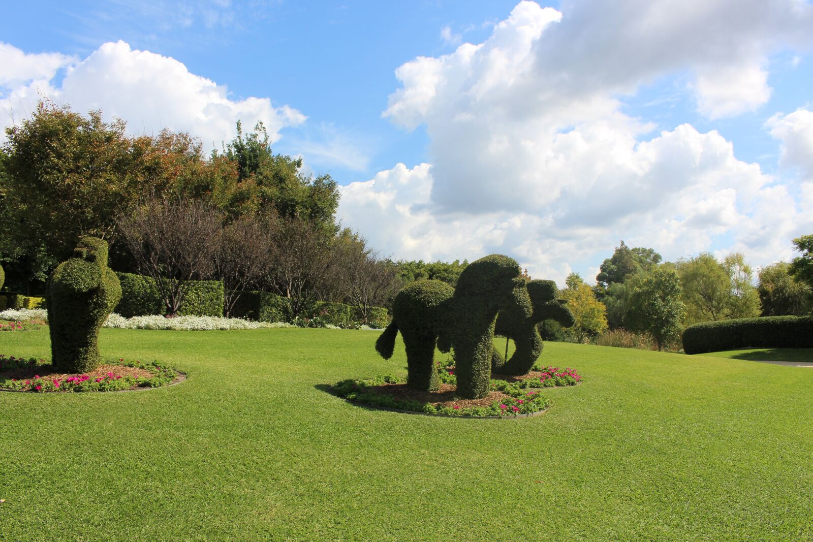 Canon EOS 700D (EOS Rebel T5i / EOS Kiss X7i) sample photo. Grass, made, elephant photography