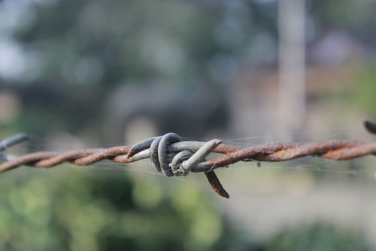 Canon EOS 600D (Rebel EOS T3i / EOS Kiss X5) sample photo. Blur, wire, fence photography