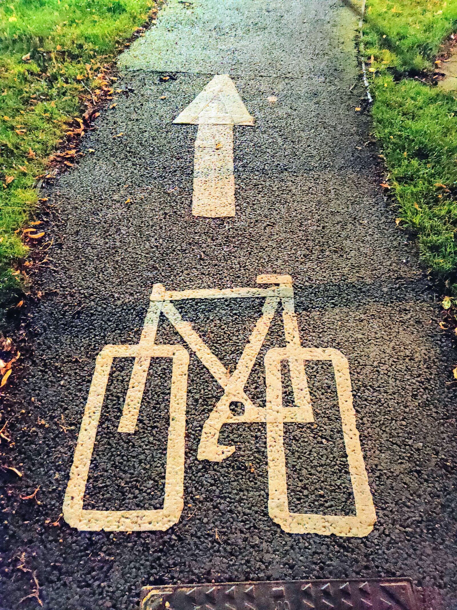 Realme 3 PRO sample photo. Cycle path, square wheels photography