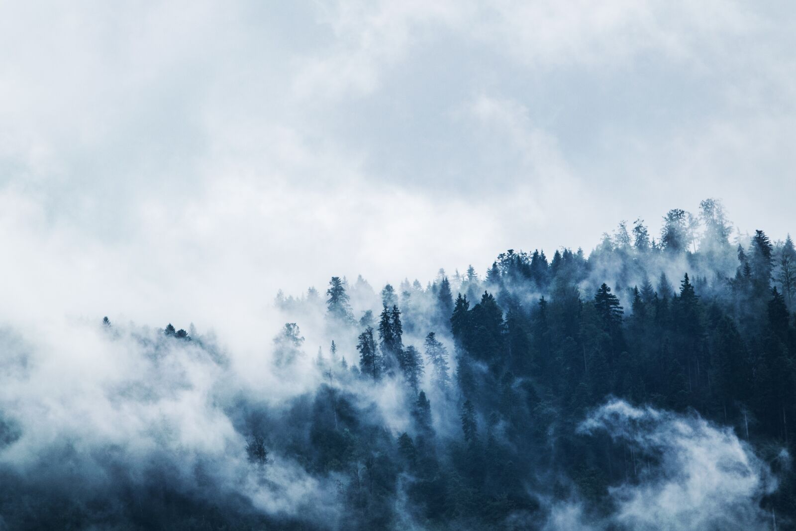 Nikon D5300 sample photo. Mountain, woods, cloud photography