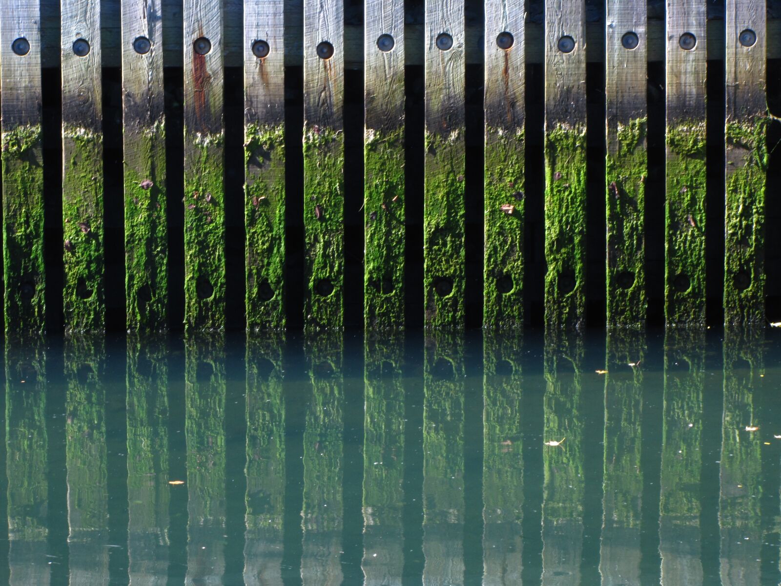 Canon PowerShot SX20 IS sample photo. Canal, algae, dock photography