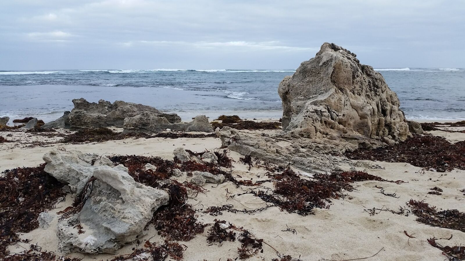 Samsung Galaxy S5 sample photo. Seashore, sea, water photography
