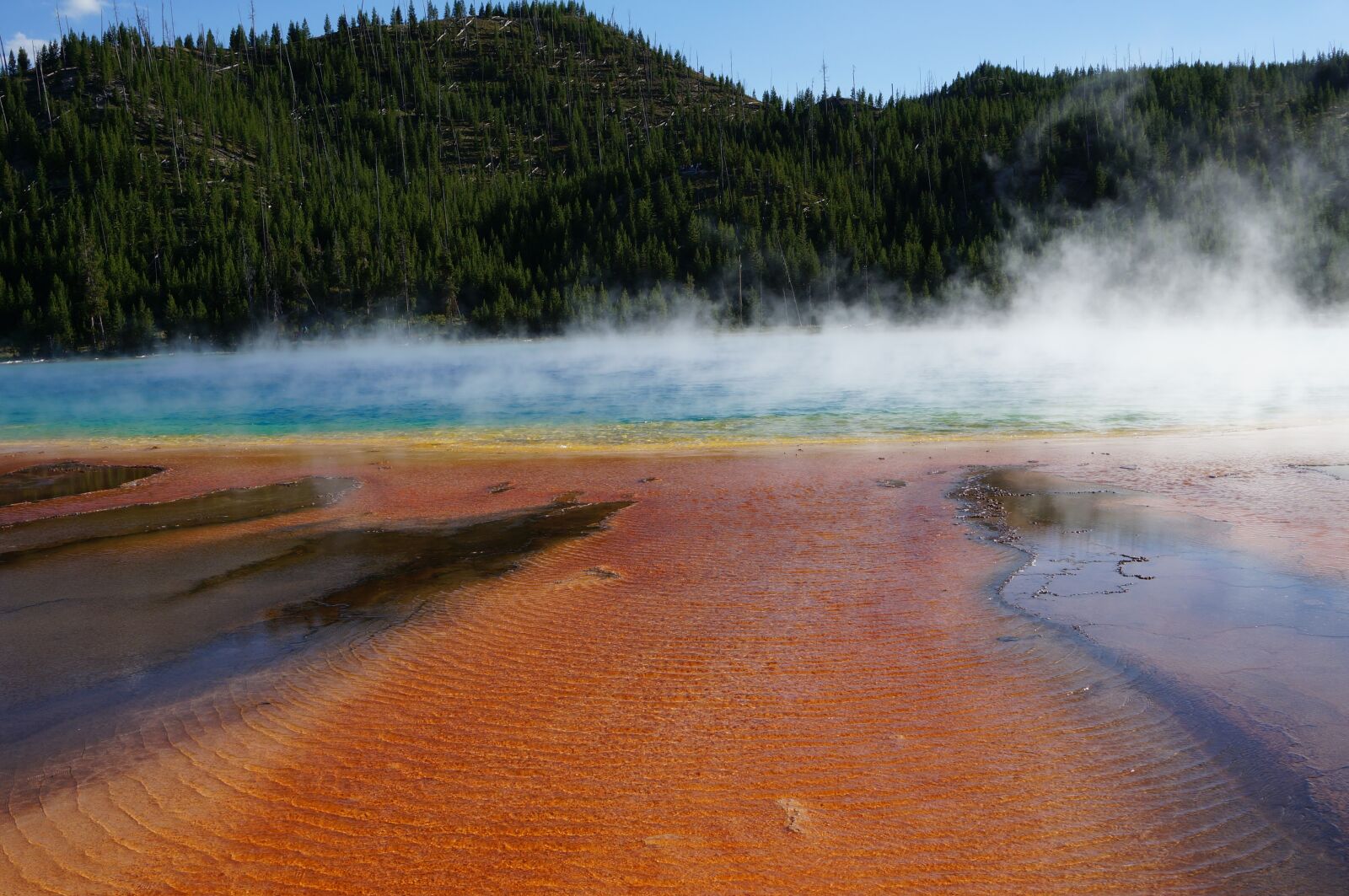 Sony Alpha NEX-6 sample photo. Yellowstone, geezer, usa photography
