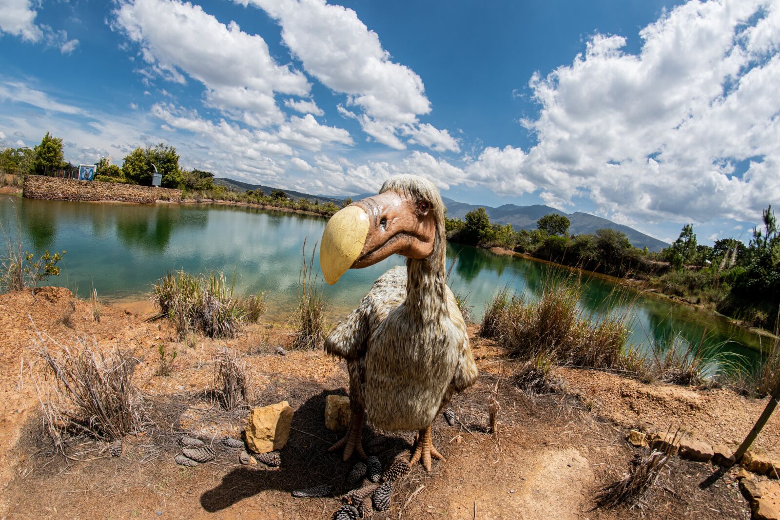 Nikon D5600 sample photo. Dodo, gondava, park photography