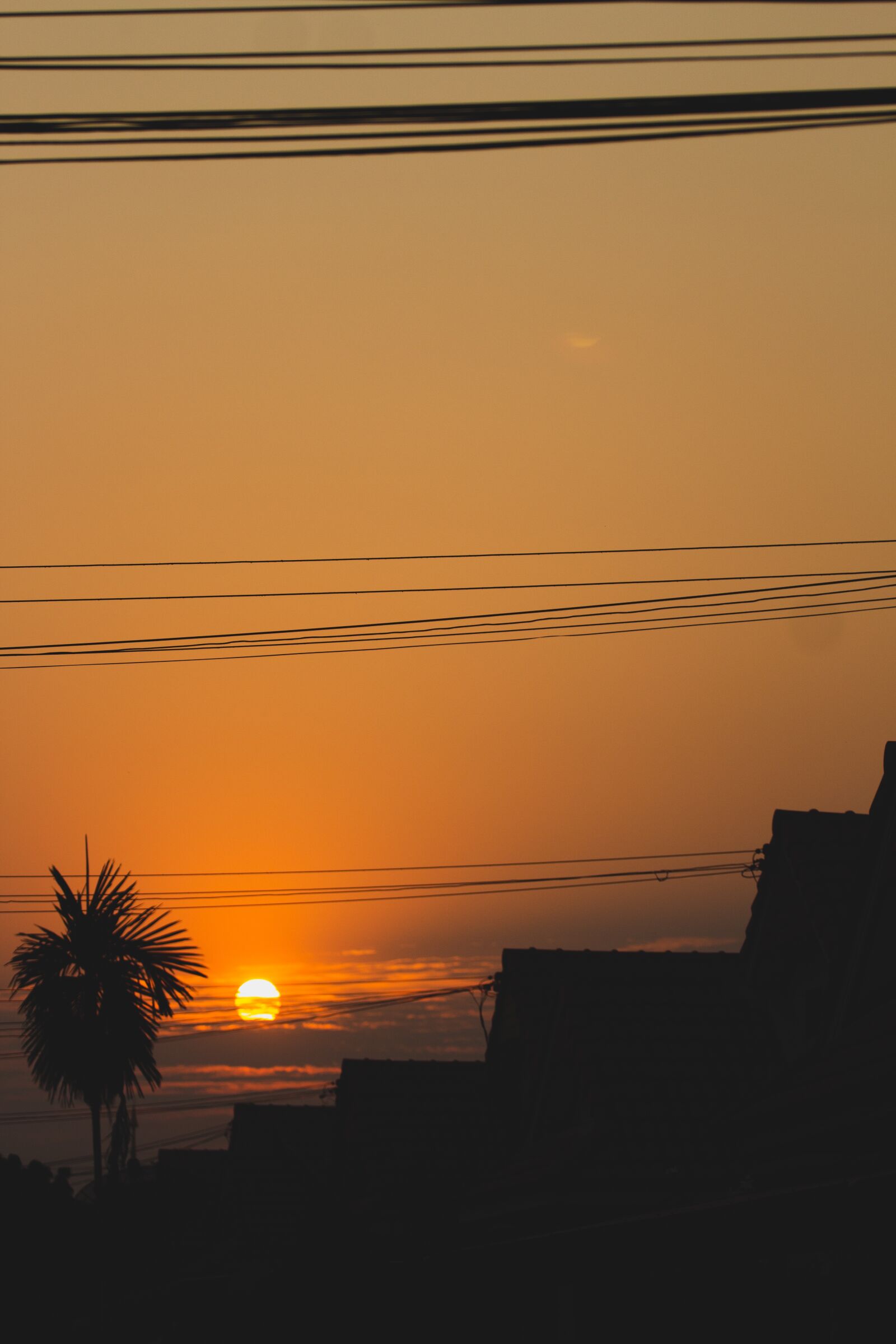 Canon EF 70-200mm F4L USM sample photo. The sun, light, nature photography