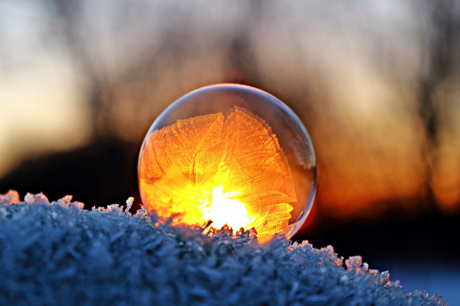 Canon EOS 100D (EOS Rebel SL1 / EOS Kiss X7) sample photo. Eiskristalle, soap bubble, winter photography