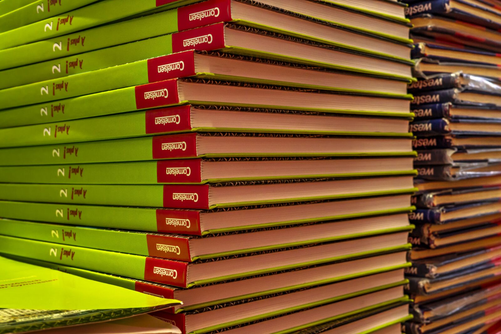 Sony a6300 + Sigma 30mm F2.8 EX DN sample photo. French, books, book stack photography