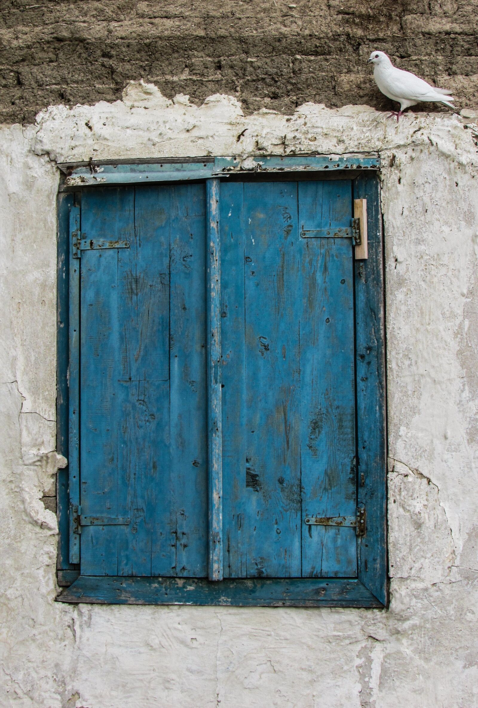 Canon PowerShot SX400 IS sample photo. Window, old, wooden photography