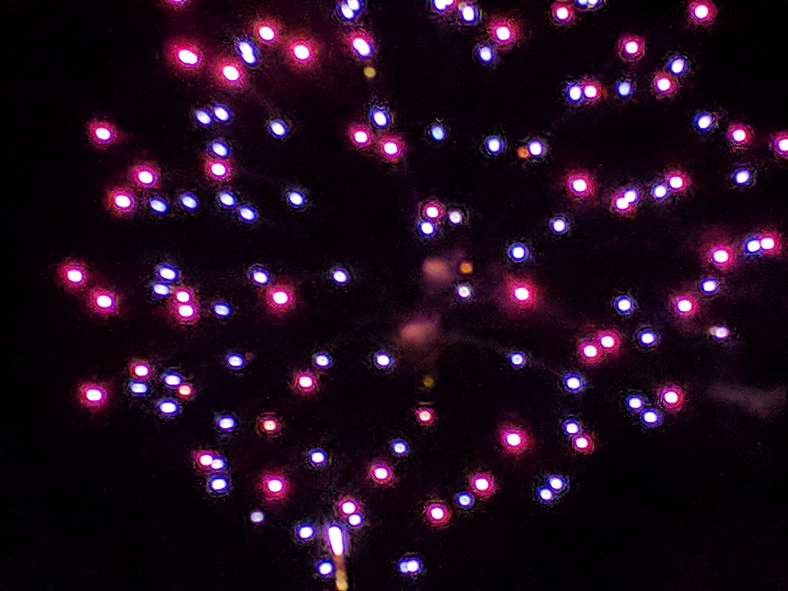 Google Nexus 6P sample photo. Fireworks, celebration, party photography