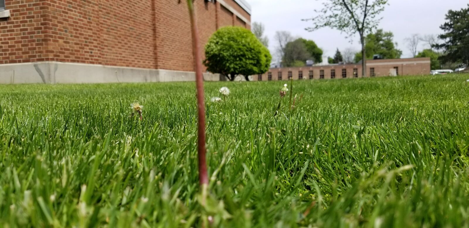 Samsung Galaxy S8 sample photo